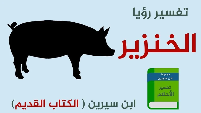 دلالات الخنازير في الأحلام