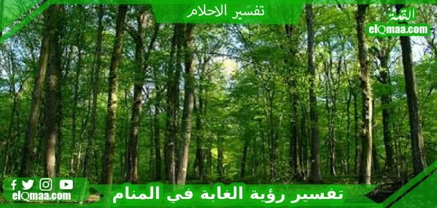 تفسير حلم رؤية الأدغال والغابات في الثقافات الشعبية